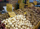 Patate e cipolle al mercato Tuscolano III al Quadraro